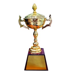 1720494520-h-250-trophy big 300x300 33.jpg